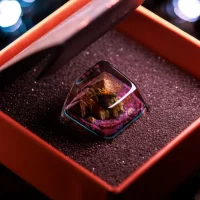 Godzilla artisan keycap in foam case box