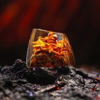 one-piece-akainu-artisan-keycap-breakwooden-2-002.jpg